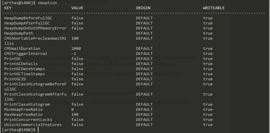 options jvm arthas